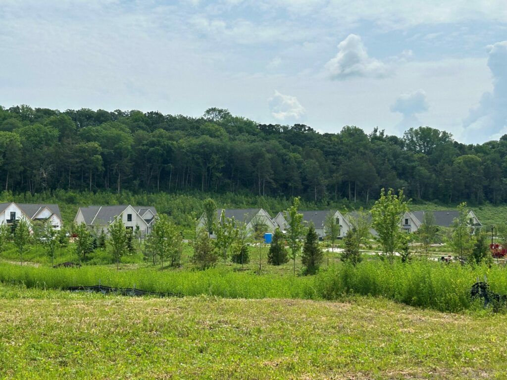 Trees - Park northwest angle